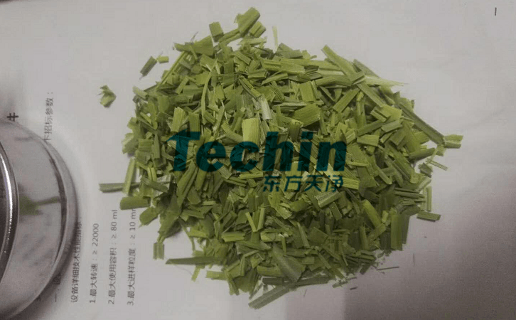 水稻叶子小优视频官网前